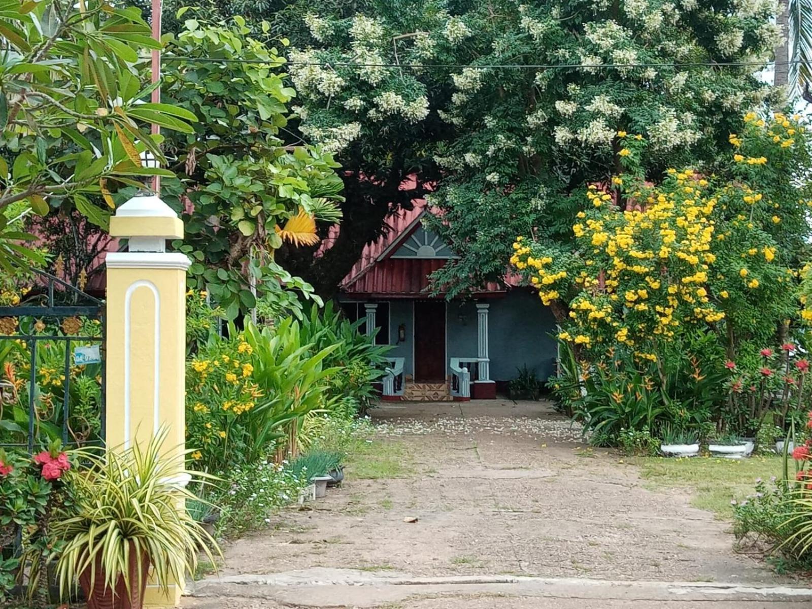 Anouxa Riverview Guesthouse Champasak Exteriör bild
