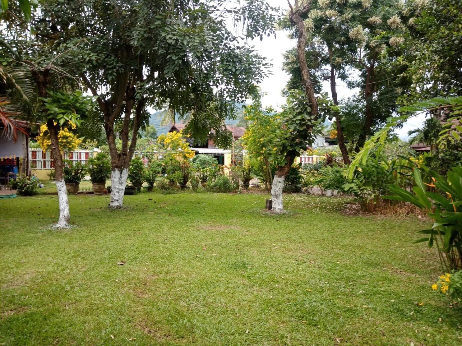Anouxa Riverview Guesthouse Champasak Exteriör bild